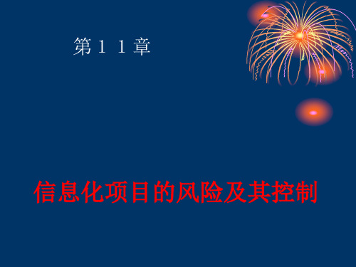 信息化项目风险及控制课件