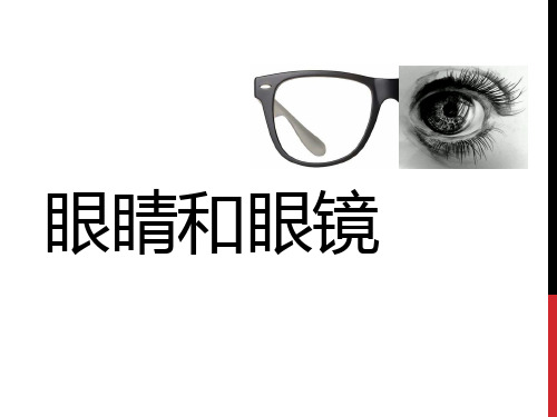 人民教育出版社八年级物理上册 第五章5.4眼睛和眼镜(共17张PPT)