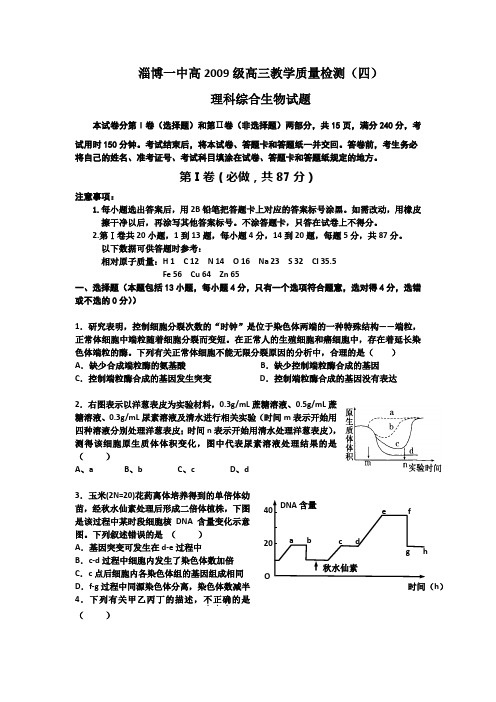 淄博一中高2009级高三教学质量检测(四)理科综合生物试题