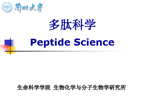 Peptide-SPPS