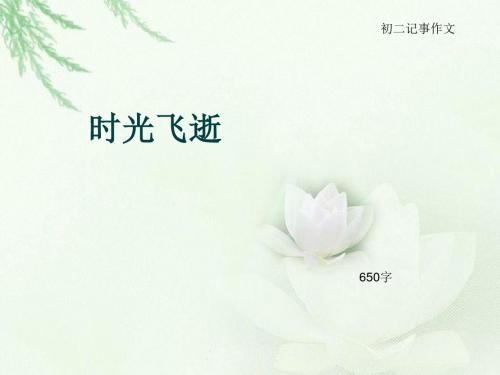 初二记事作文《时光飞逝》650字(总9页PPT)