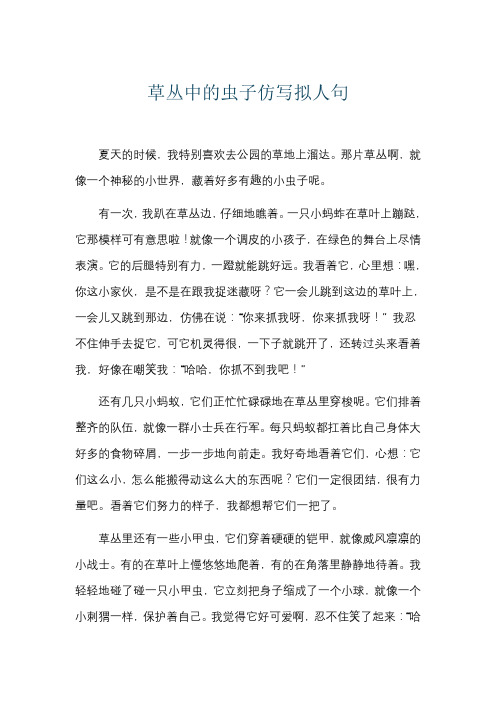 草丛中的虫子仿写拟人句