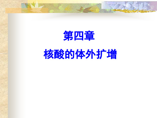 分子生物学 第四章 核酸的体外扩增