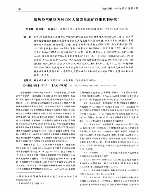 清热益气通络方对DN大鼠蛋白尿的作用机制研究