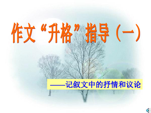 作文“升格”指导——记叙文中的抒情和议论ppt课件