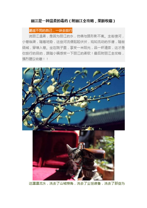 丽江是一种温柔的毒药（附丽江全攻略，果断收藏）