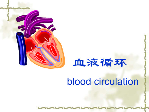 血液循环生理【179页】