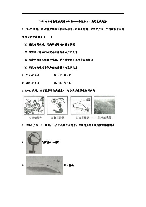 2020年中考物理试题精准训练——专题十三：光的直线传播