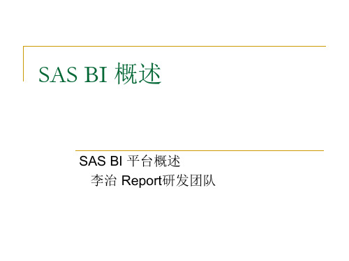 SAS BI 概述