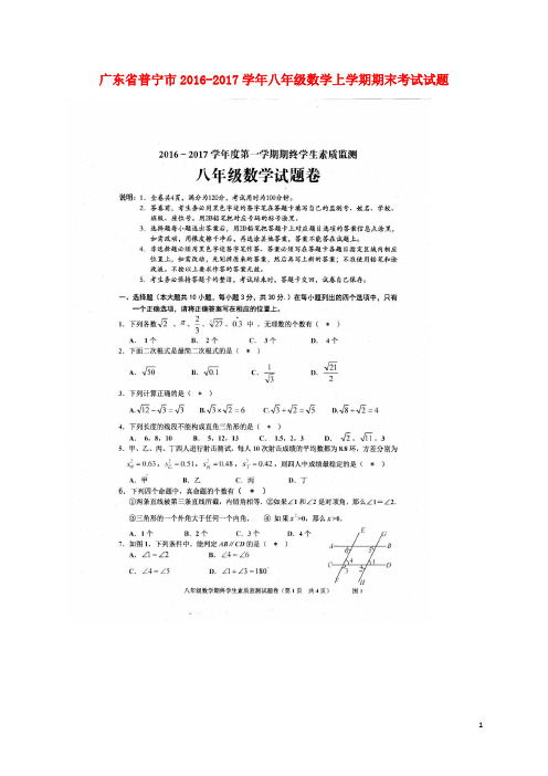 广东省普宁市2016-2017学年八年级数学上学期期末考试试题(扫描版)