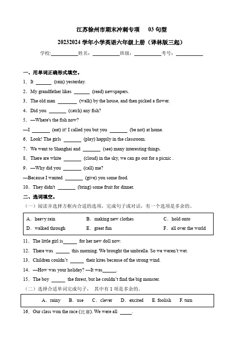 江苏徐州市期末冲刺专项03句型-2023-2024学年小学英语六年级上册(译林版三起)