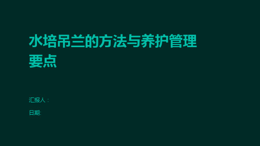 水培吊兰的方法与养护管理要点