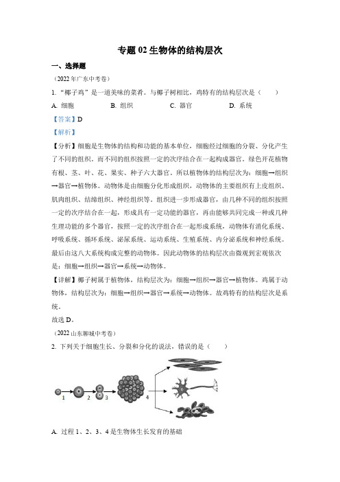 专题02 生物体的结构层次-2022年中考生物真题(全国通用)(2)