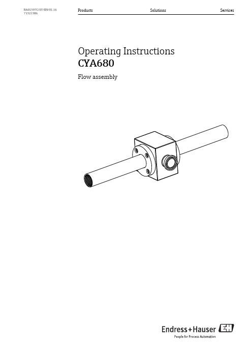 Endress+Hauser CYA680流量计集成装置BA01597C 07 EN 01.16操作