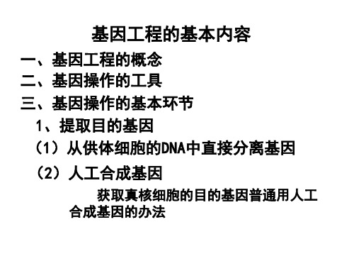 基因工程操作程序说课稿公开课一等奖课件省赛课获奖课件