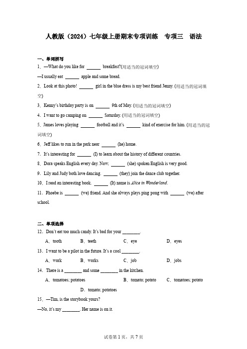 人教版(2024)七年级上册期末专项训练专项三语法