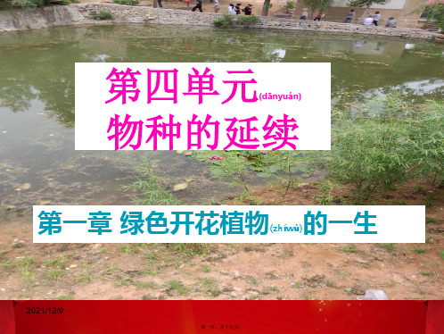 八年级生物上册 第四单元 第一章 第二节 传粉与受精课件