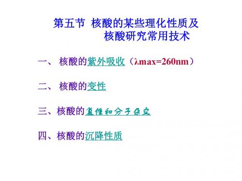 高一生物核酸化学2