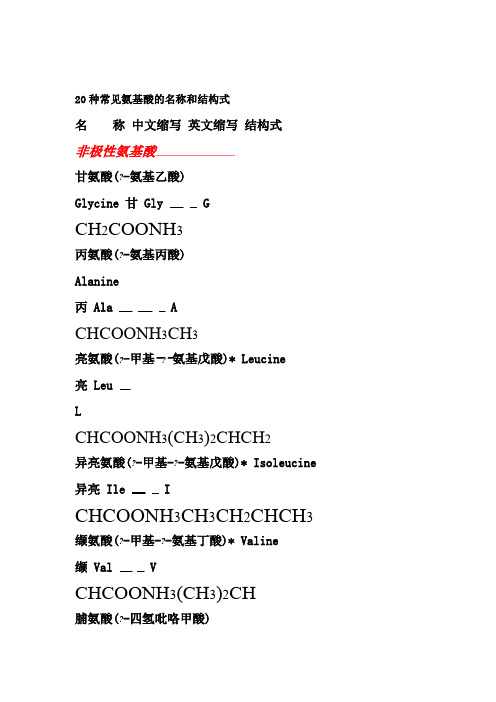 20种常见氨基酸