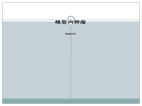 椎管内肿瘤ppt课件