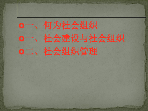 社会组织管理