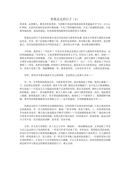 2009年的几遍满分作文
