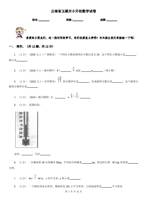 云南省玉溪市小升初数学试卷