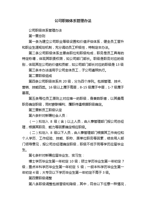 公司职级体系管理办法