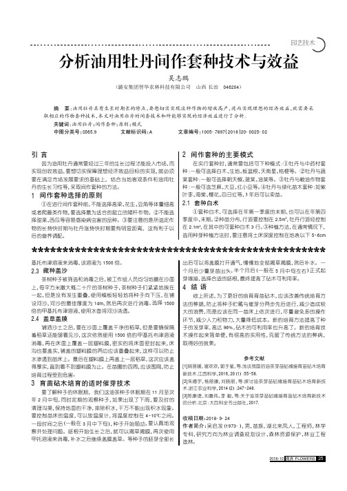 分析油用牡丹间作套种技术与效益