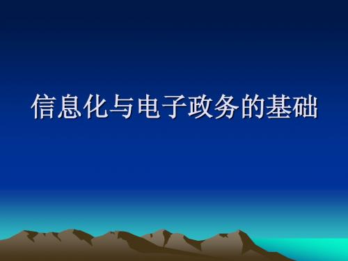 信息化与电子政务的基础