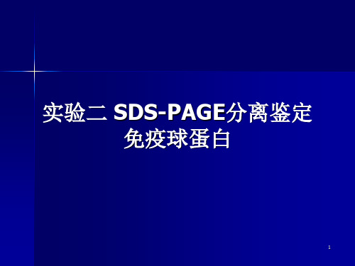 实验二 聚丙烯酰胺凝胶电泳(SDS-PAGE)鉴定免疫球蛋白