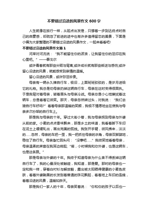 不要错过沿途的风景作文600字