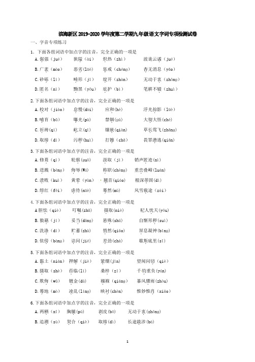 字词部分检测-天津市滨海新区2020届九年级下学期语文练习