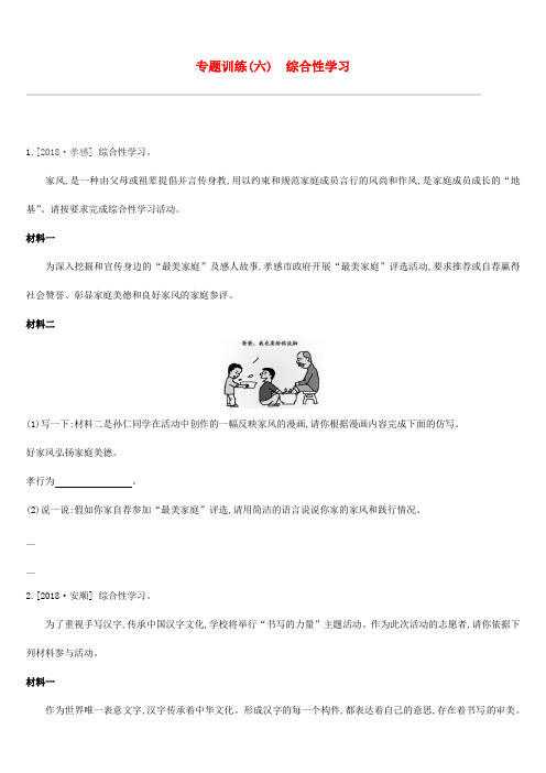 2019中考语文高分一轮专题06综合性学习专题训练9