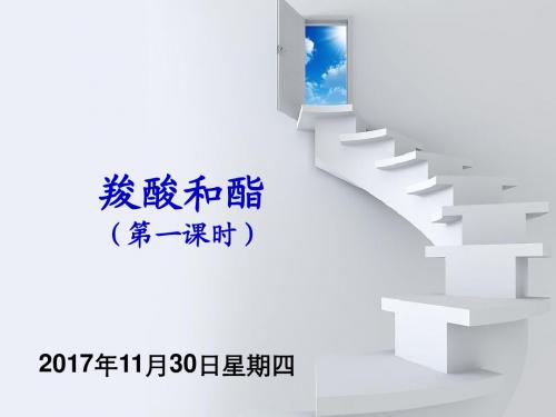 说课大赛一等奖-羧酸