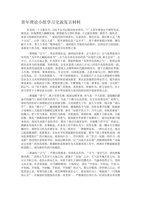 青年理论小组学习交流发言材料