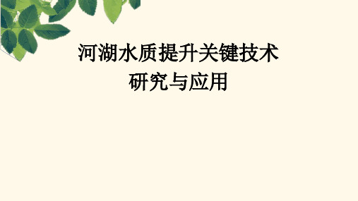 河湖水质提升关键技术研究及应用_城市水务治理讲座课件PPT