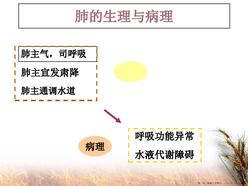 中医诊断学课程案例-肺与大肠病辨证