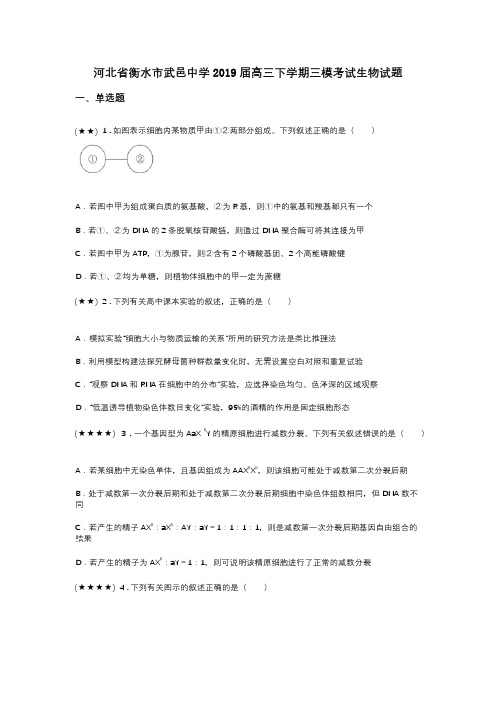 河北省衡水市武邑中学2019届高三下学期三模考试生物试题