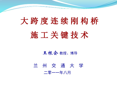 大跨度连续刚构桥施工关键技术研究概述资料