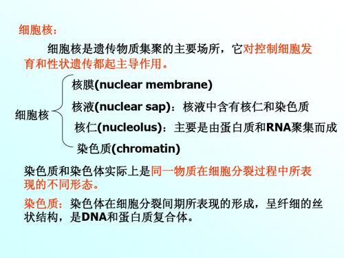 遗传的细胞学基础