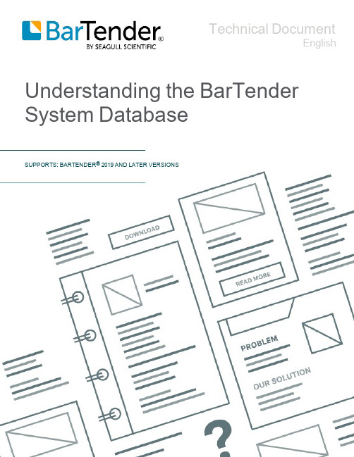 BarTender系统数据库技术文档说明书