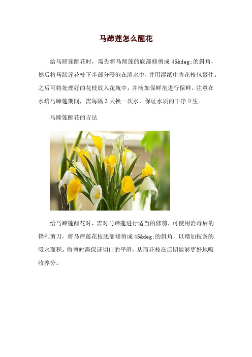 马蹄莲怎么醒花