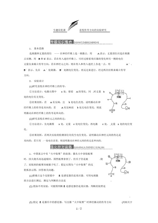 届高三生物复习专题培优课兴奋传导方向的实验探究