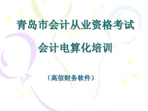 2012 高信 软件培训教程.青岛电算化考试必备