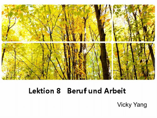 德语《Schritte 》第八单元课件 职业和工作 seit 和vor 的用法Beruf und Arbeit