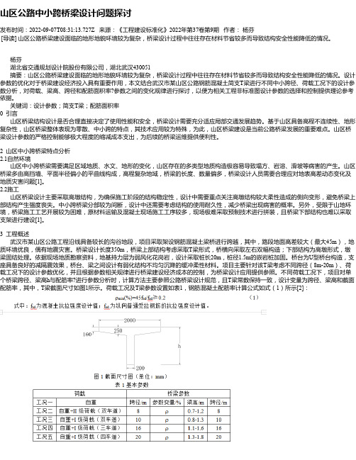 山区公路中小跨桥梁设计问题探讨