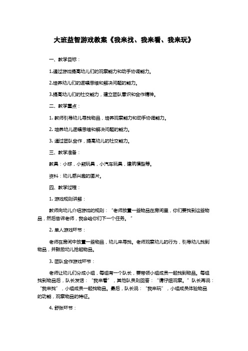 大班益智游戏教案《我来找、我来看、我来玩》