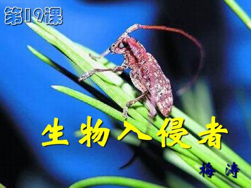 生物入侵者2