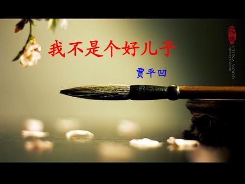 我不是个好儿子 实用好课件
